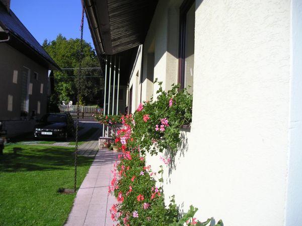 Homestay Gustav Halas Terchová Esterno foto